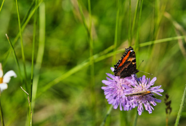 Selbsstbewustsein stärken&nbsp;