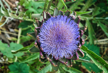 Unterstützung der persönlichen Entwicklung