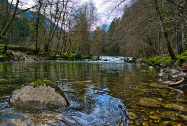 Mentales Training&nbsp;